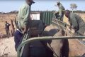Impedire agli africani di vendere elefanti ai cinesi è razzista?