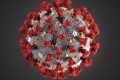 La stampa britannica rilancia la tesi che il coronavirus sia fuoriuscito da un laboratorio di Wuhan