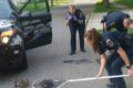 Poliziotti americani salvano anatroccoli da un tombino